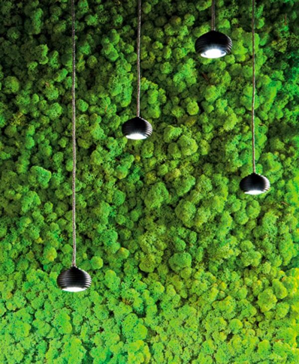 Album Ufo: lampadario sospensione soffitto led da Vegliolux, un marchio del gruppo Idrocentro, gli specialisti di illuminazione e elettroforniture. Acquista nei nostri punti vendita di Piemonte, Liguria, Lombardia e Valle d'Aosta
